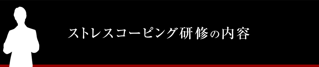 ストレスコーピング研修の内容